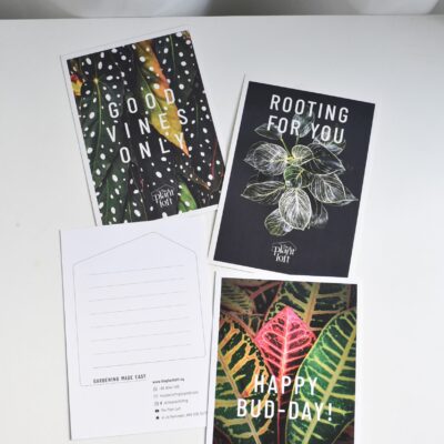Gift Box and Card