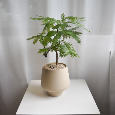 Everfresh trees in Chalk size 4/5 (Wired stem)