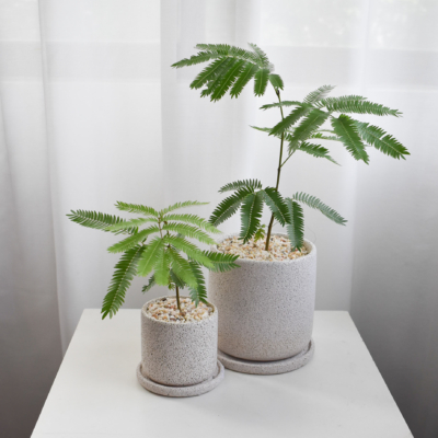 Everfresh trees size 2/3/4/5/6 in Mica (NON-WIRED STEM)