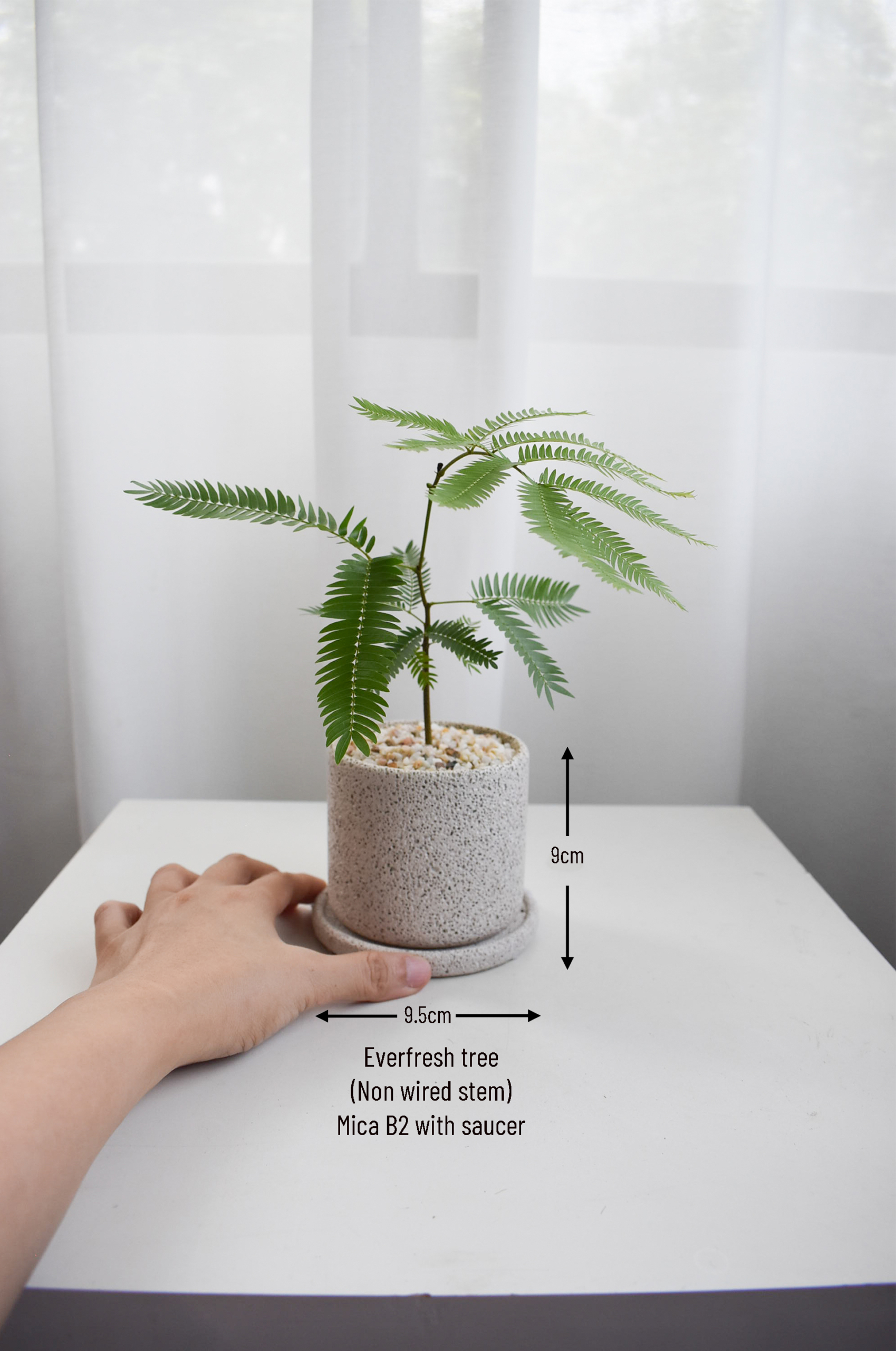 Everfresh trees size 2/3/4/5/6 in Mica (NON-WIRED STEM) - Image 3