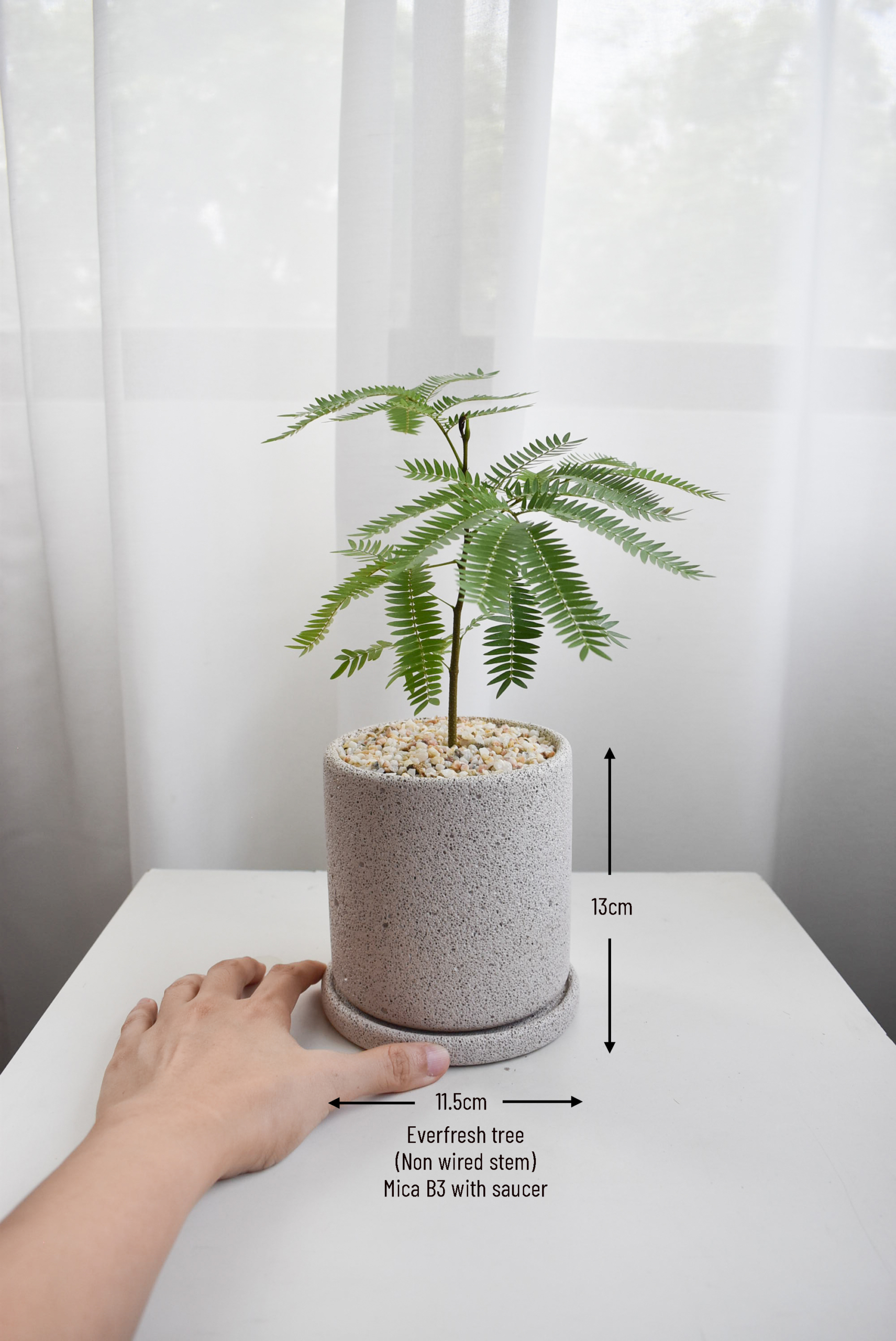 Everfresh trees size 2/3/4/5/6 in Mica (NON-WIRED STEM) - Image 4