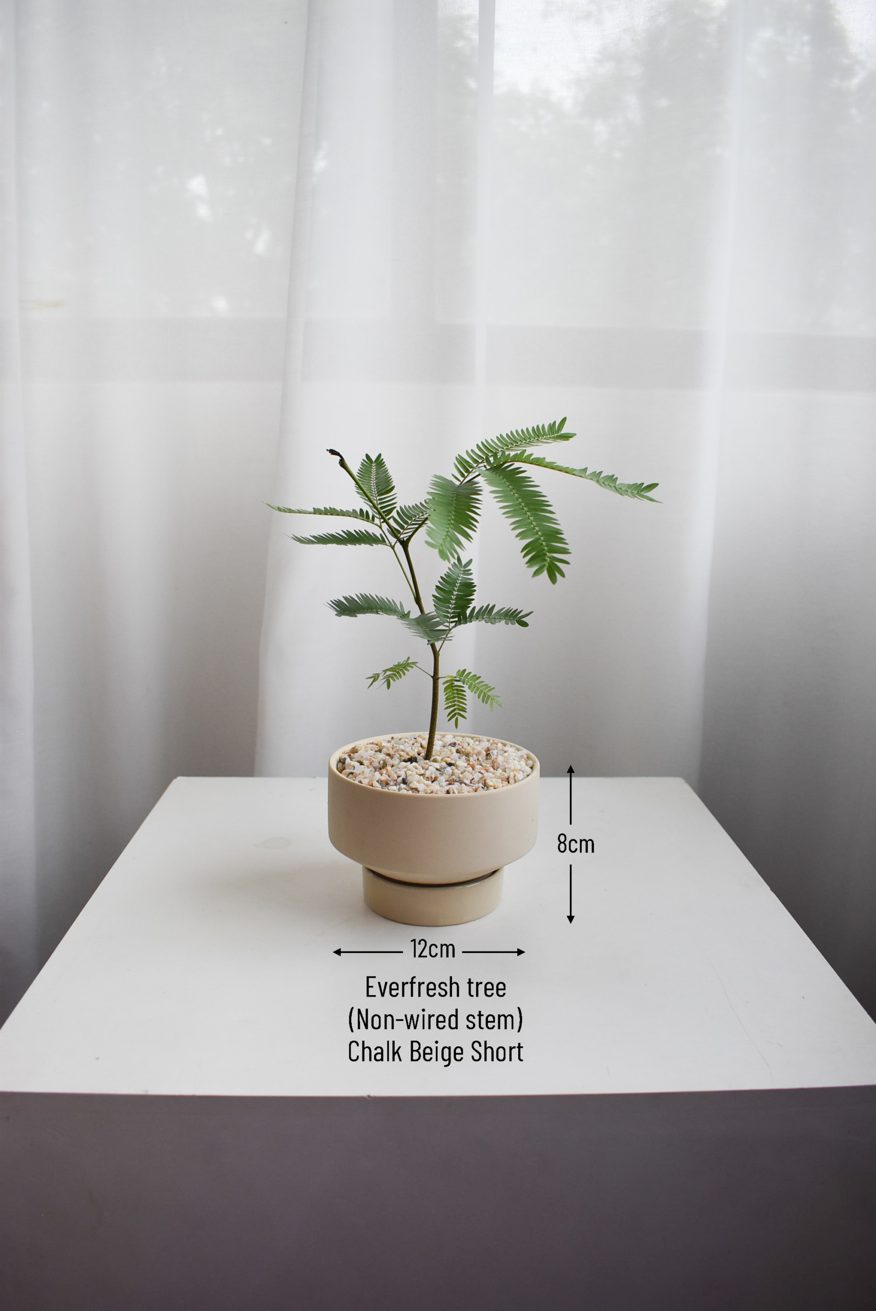Everfresh trees size 3/4 in Chalk (Non-wired stem) - Image 2