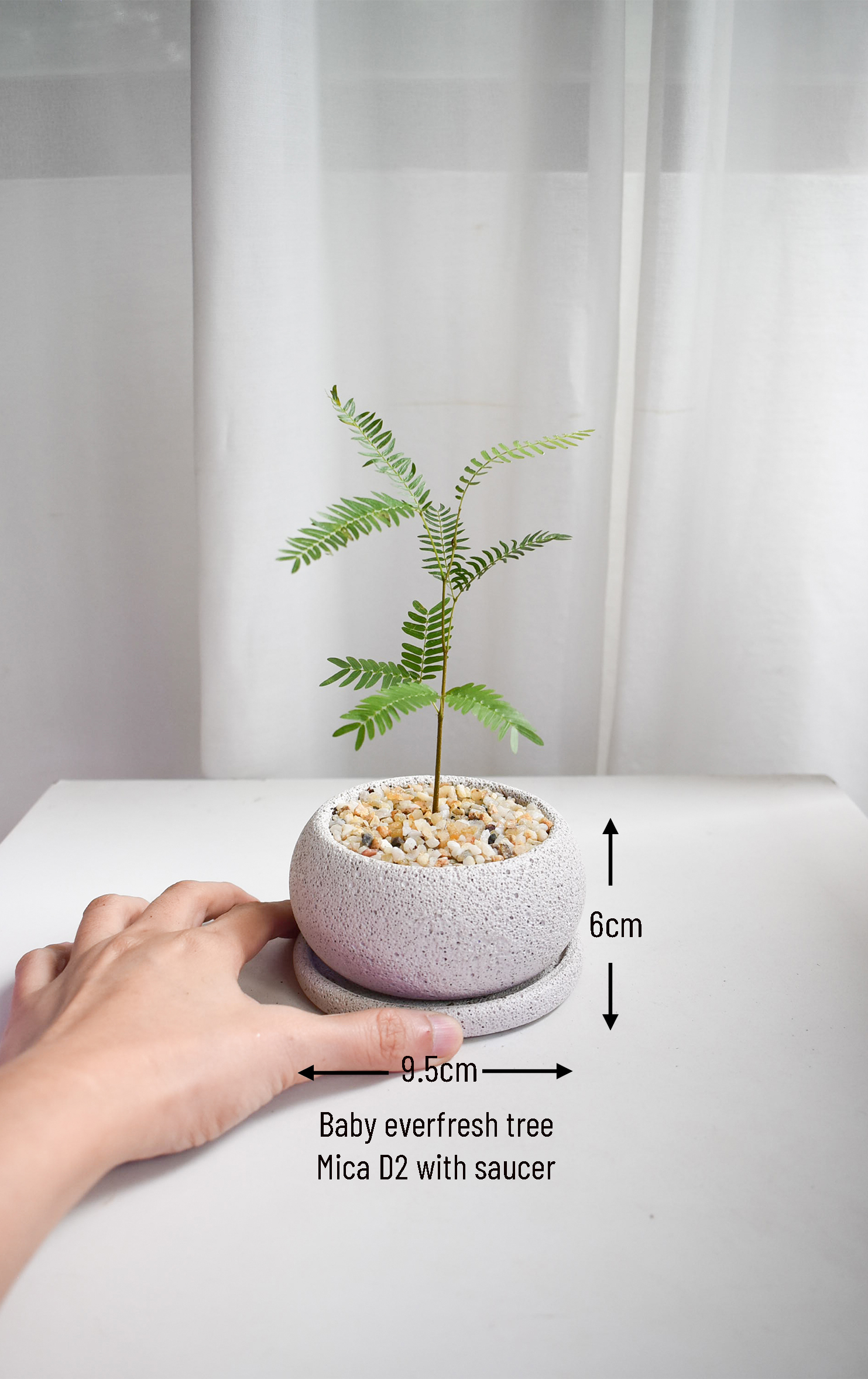 Everfresh trees size 2/3/4/5/6 in Mica (NON-WIRED STEM) - Image 2